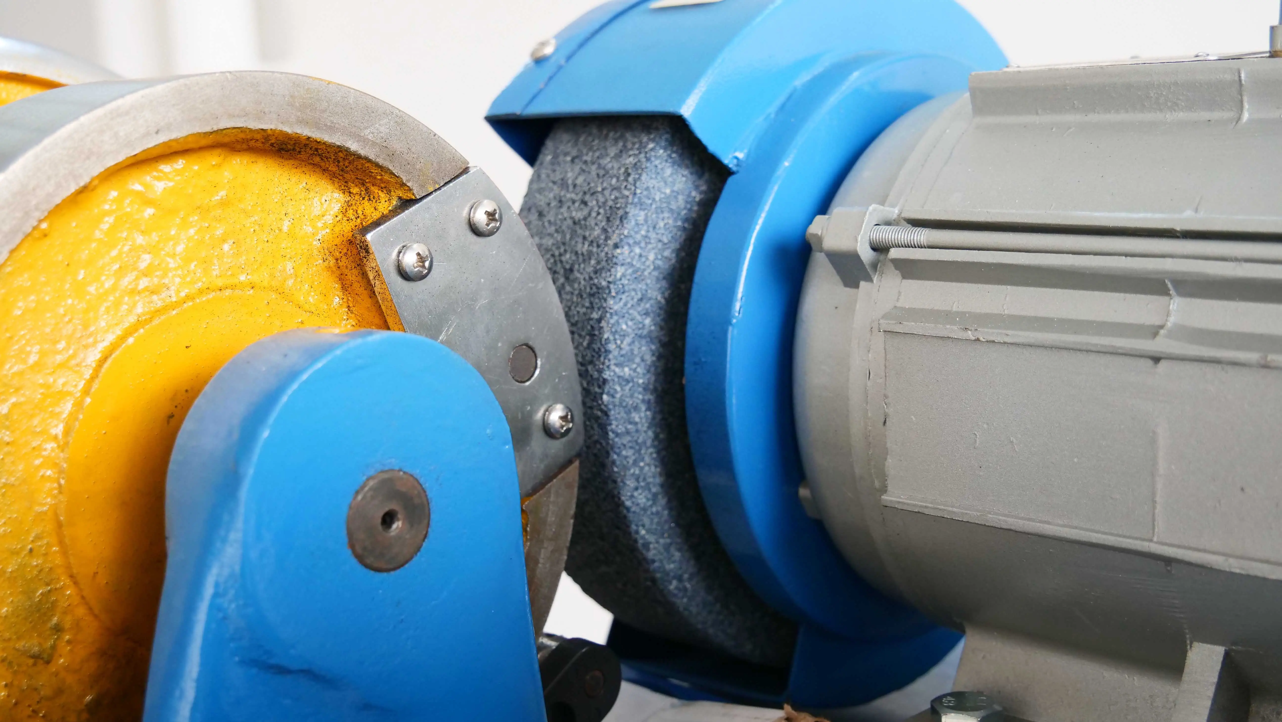 Specimen fixing wheel